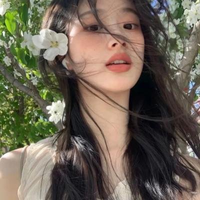 特禽鲨龙